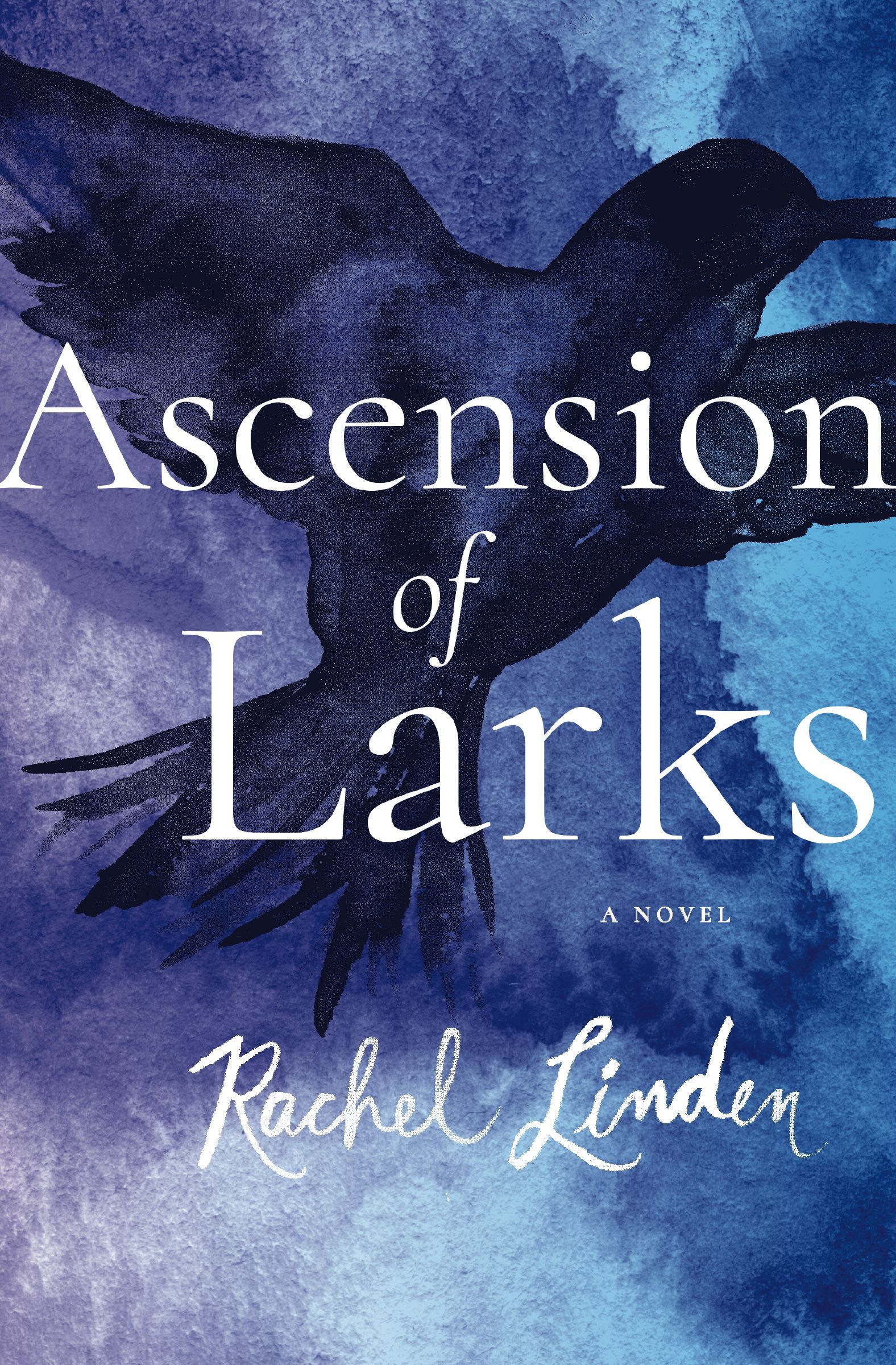 Ascension of Larks, Paperback, Rachel Linden