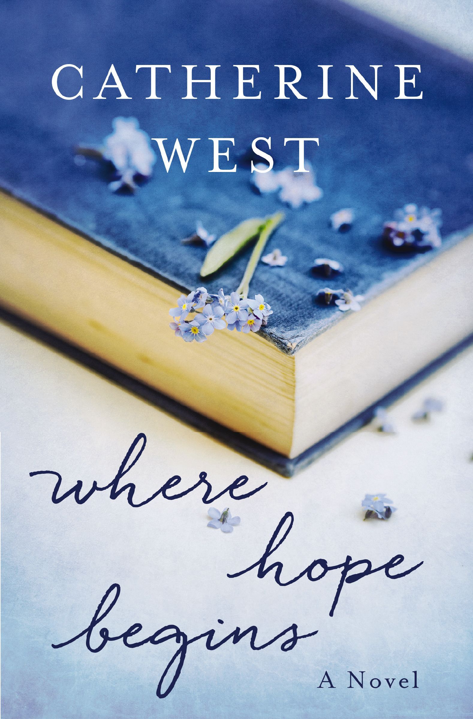 Where Hope Begins, Paperback, Catherine West