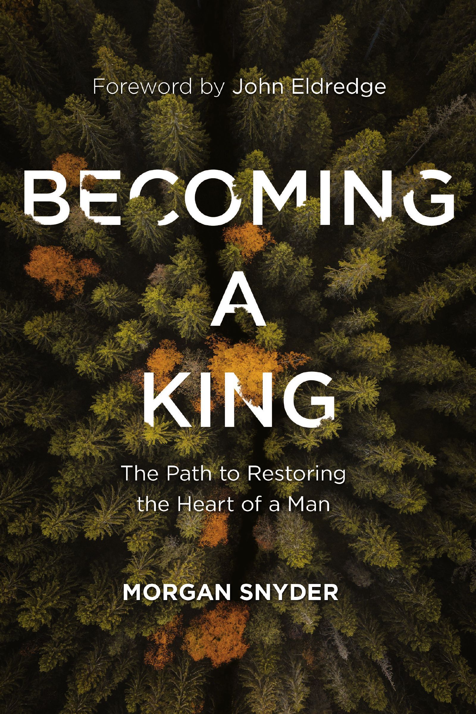 BECOMING A KING ITPE: The Path to Restoring the Heart of a Man - Image 3