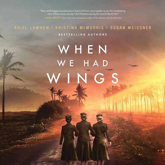 When We Had Wings Book Cover