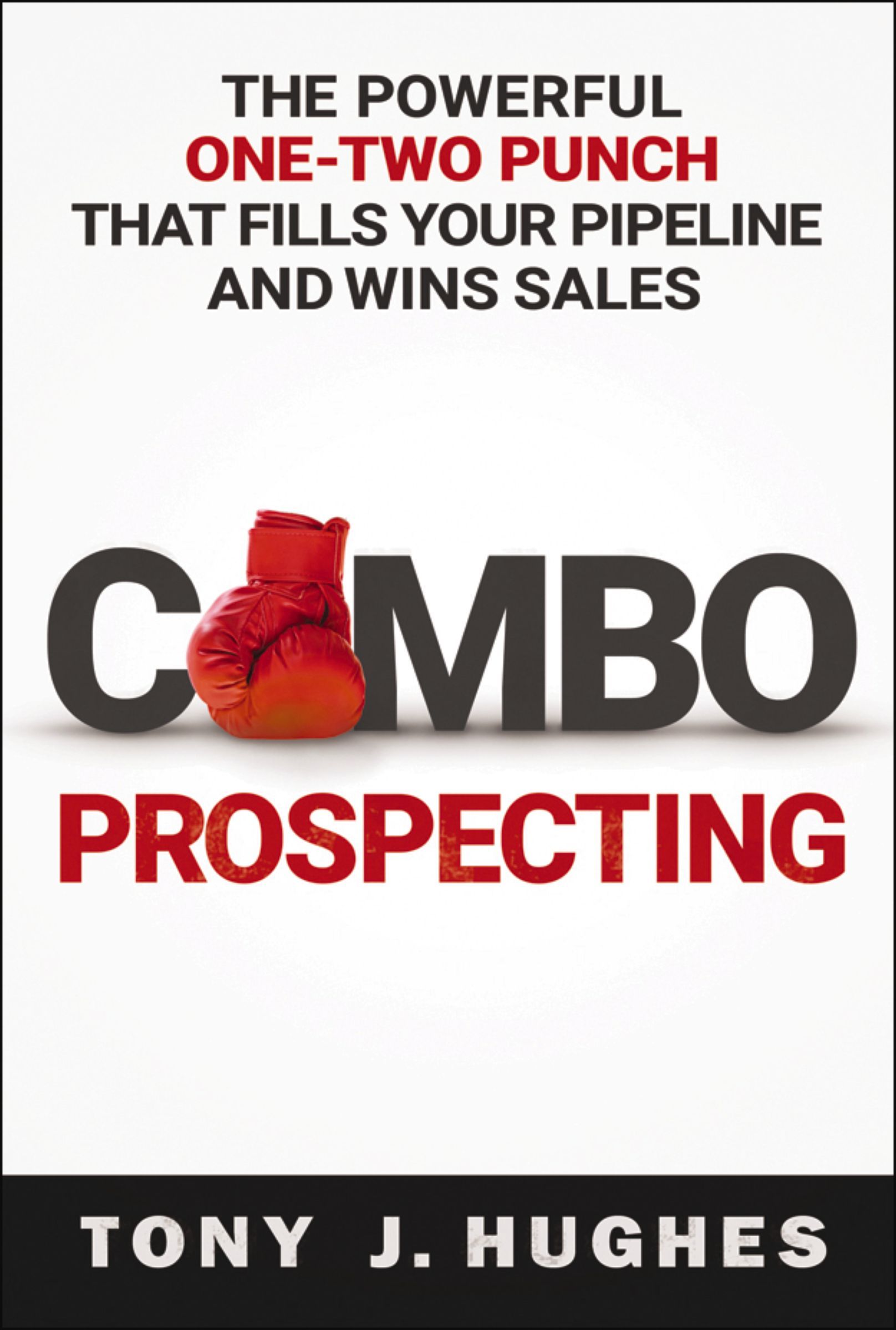a Combo Prospecting Book Cover
