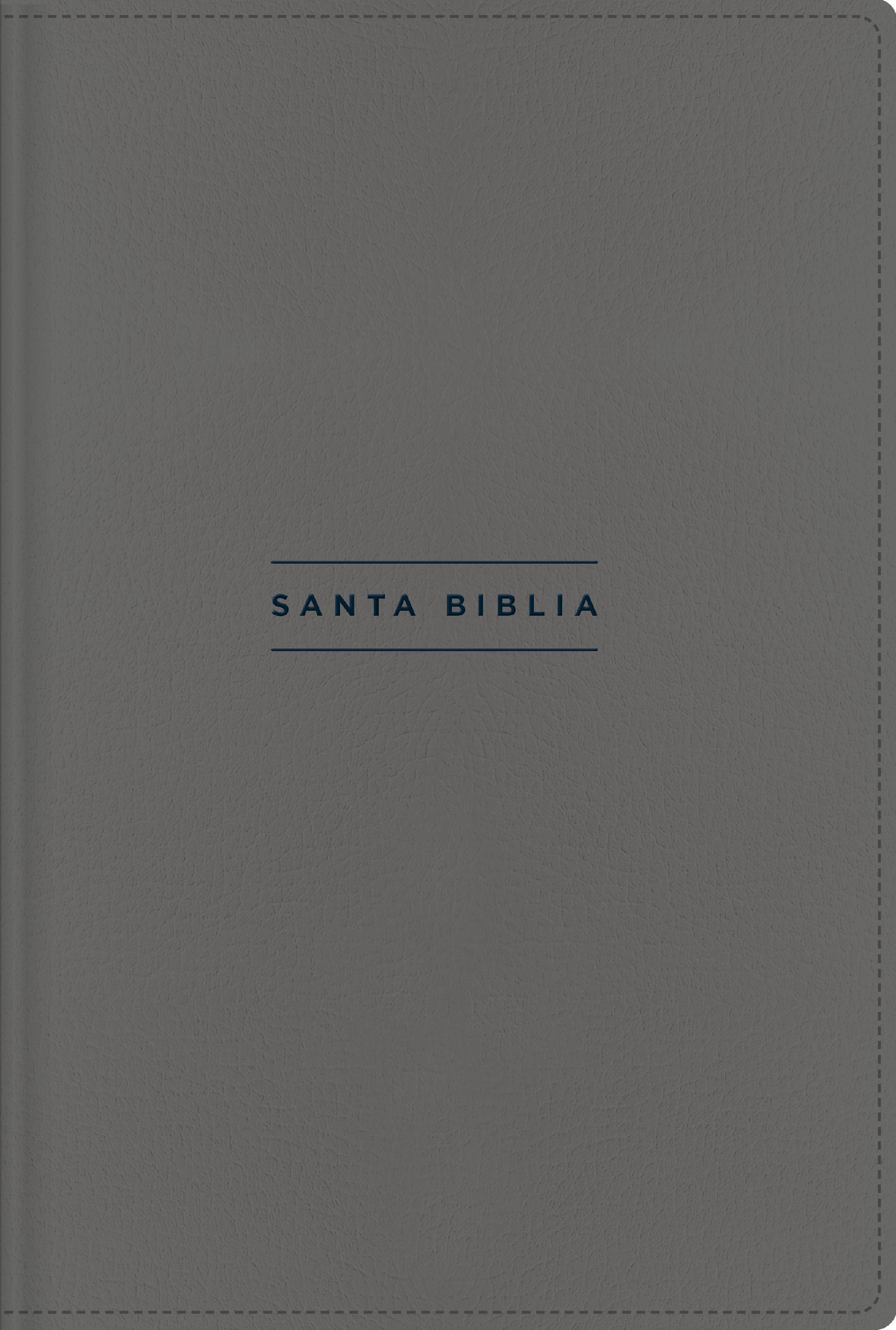 NVI, Holy Bible, Revised text 2022, Single-Column Reference, Bonded Leather, Words of Jesus in Red, Grey, Comfort Print Book Cover