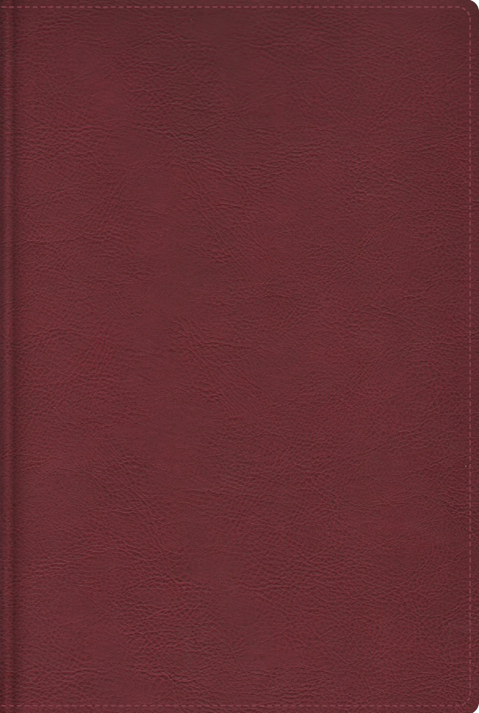 RVR, Cultural Backgrounds Study Bible, (Context Changes Everything), Leathersoft, Burgundy, 4 Color Interior, Comfort Print