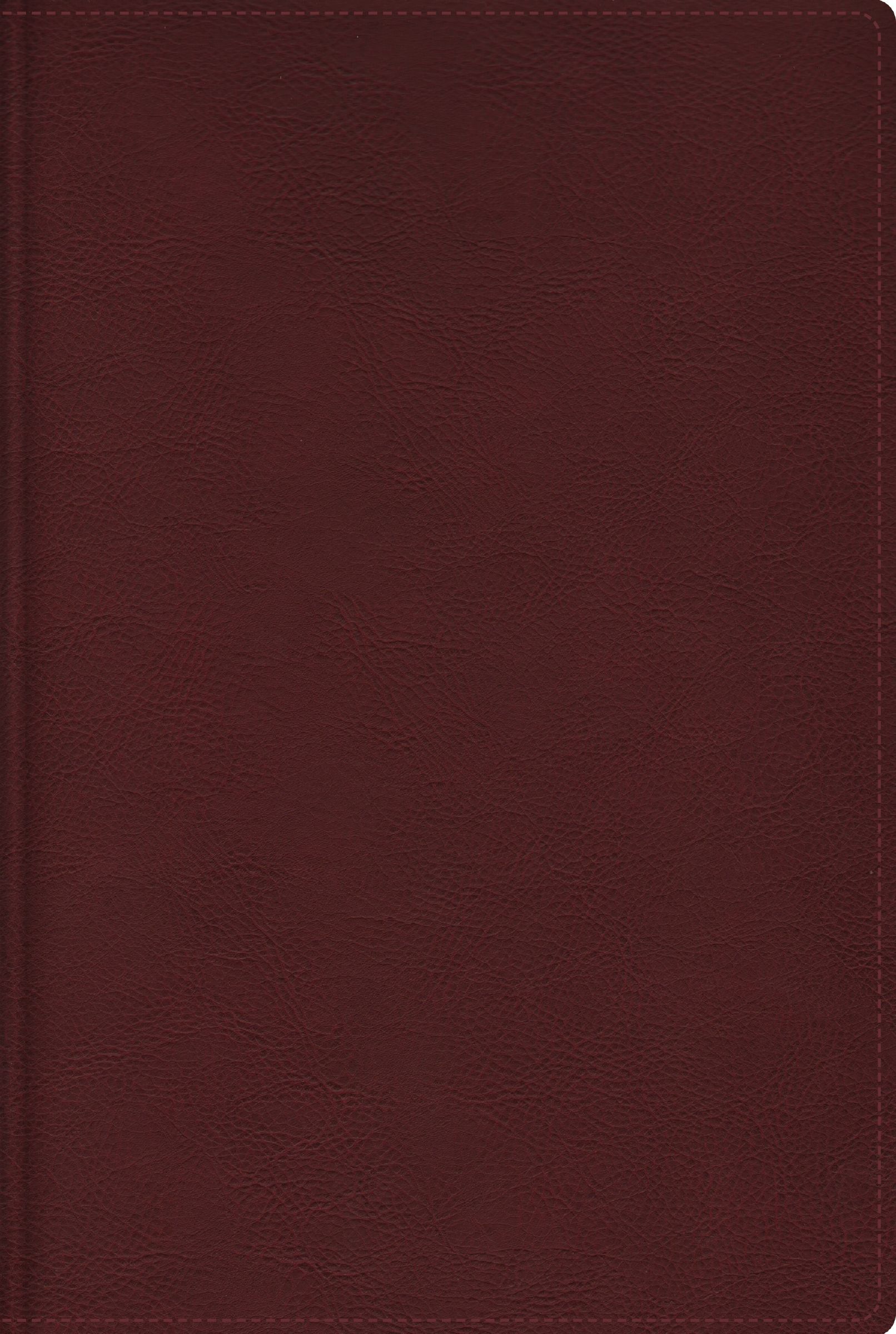 RVR, Cultural Backgrounds Study Bible, (Context Changes Everything), Leathersoft, Burgundy, 4 Color Interior, Indexed, Comfort Print