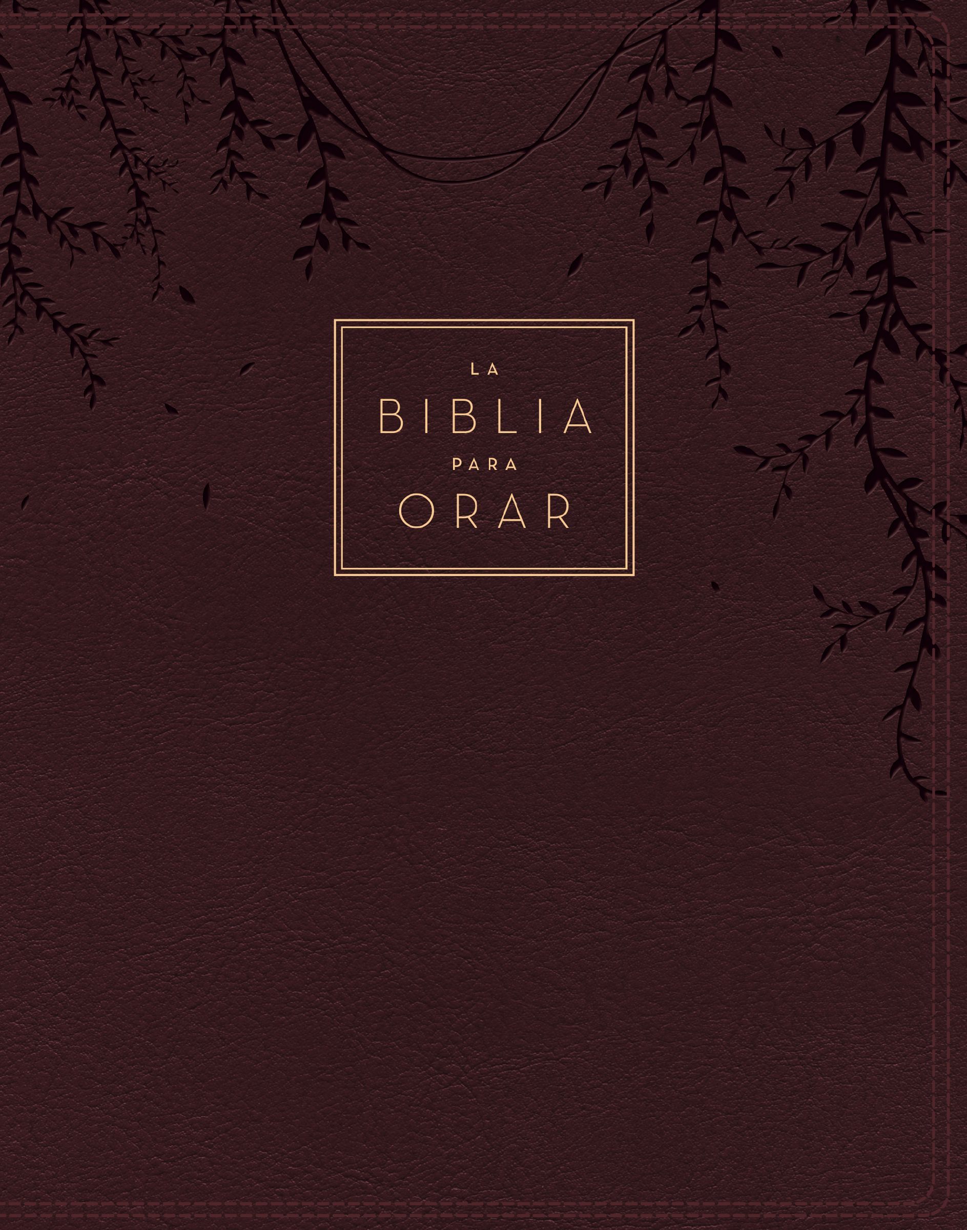 RVR60, La Biblia para orar, Leathersoft, Rojo vino, Palabras de Jesús en rojo, Comfort Print