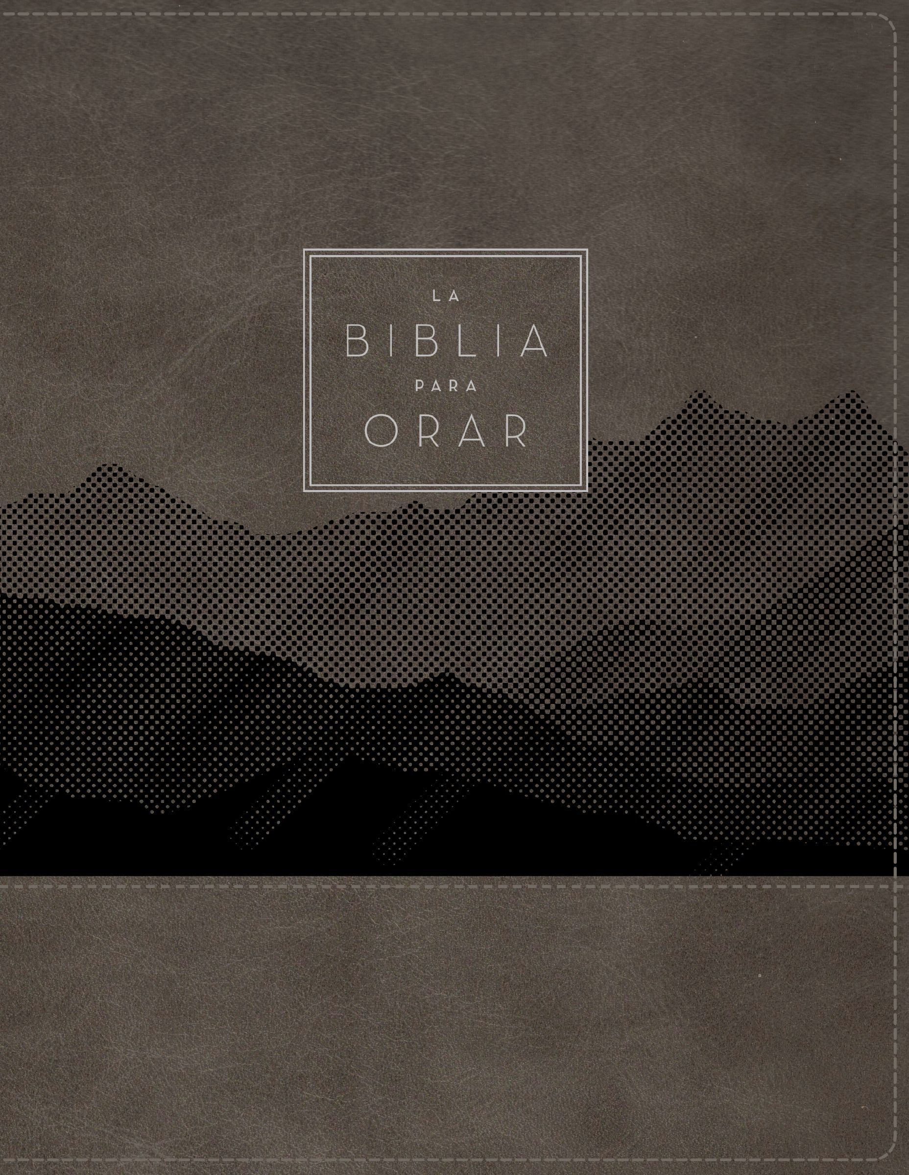 RVR60, La Biblia para orar, Leathersoft, Gris, Palabras de Jesús en rojo, Comfort Print