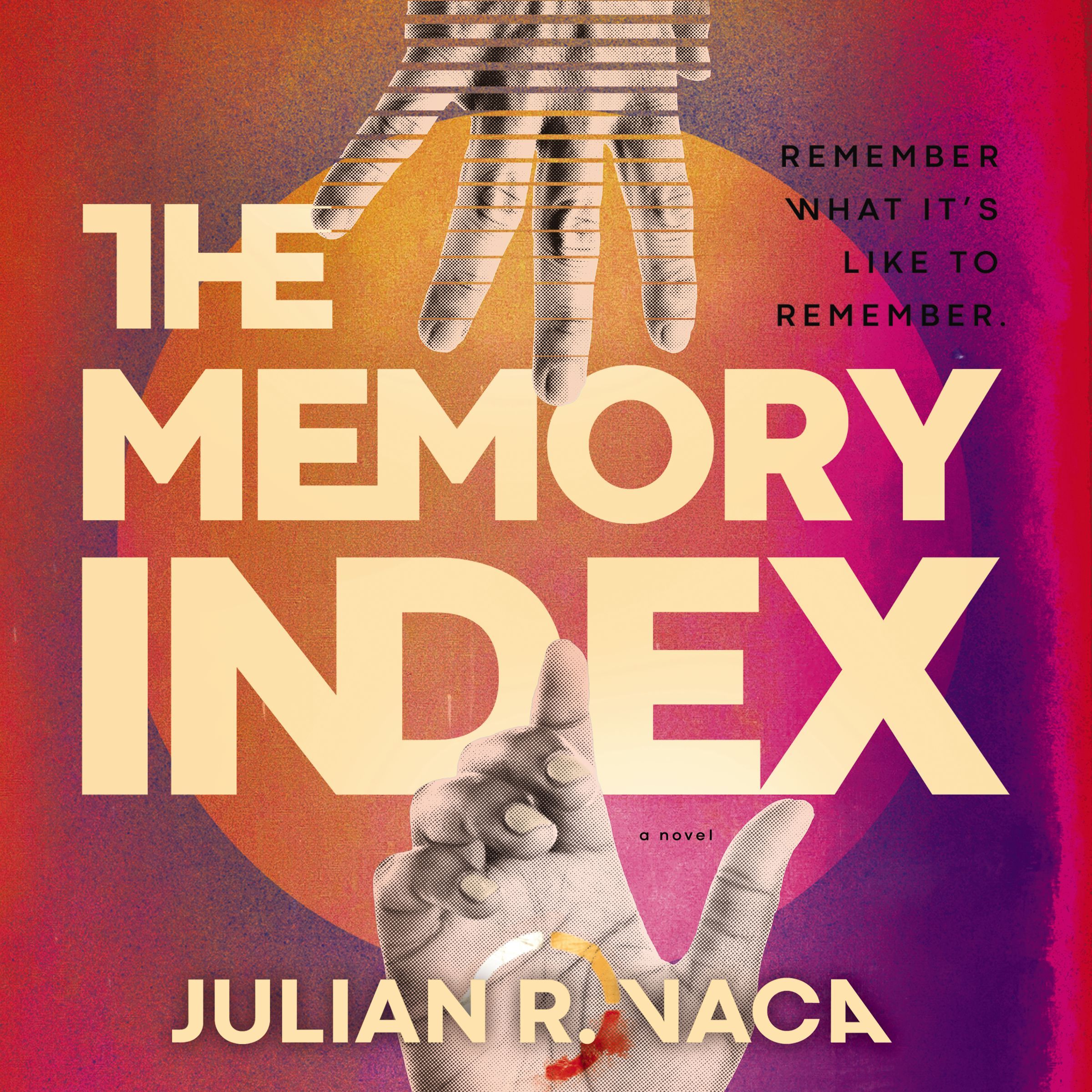 The Memory Index Book Cover