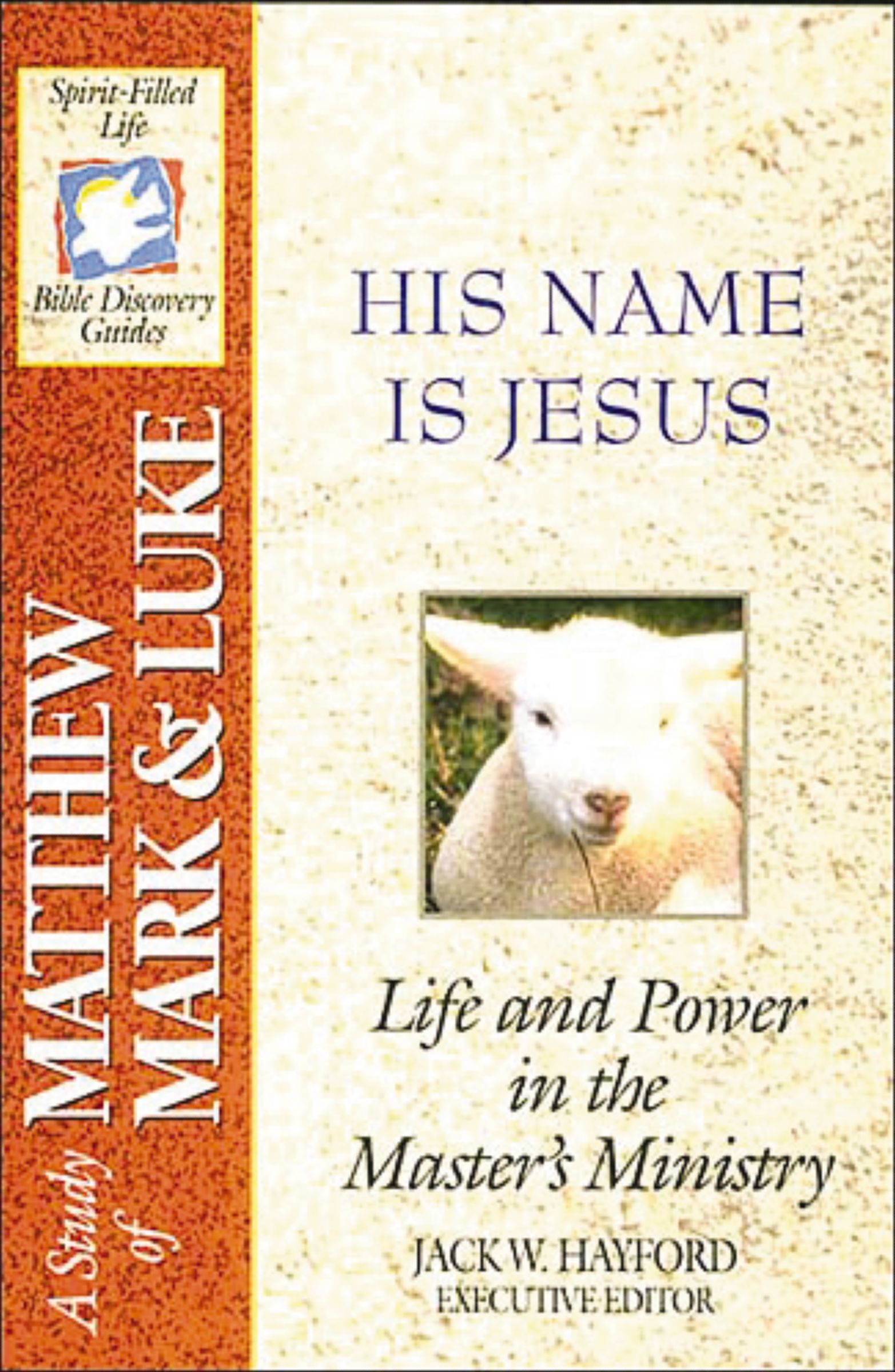 Spirit-Filled Life Bible Discovery Series, Paperback,
