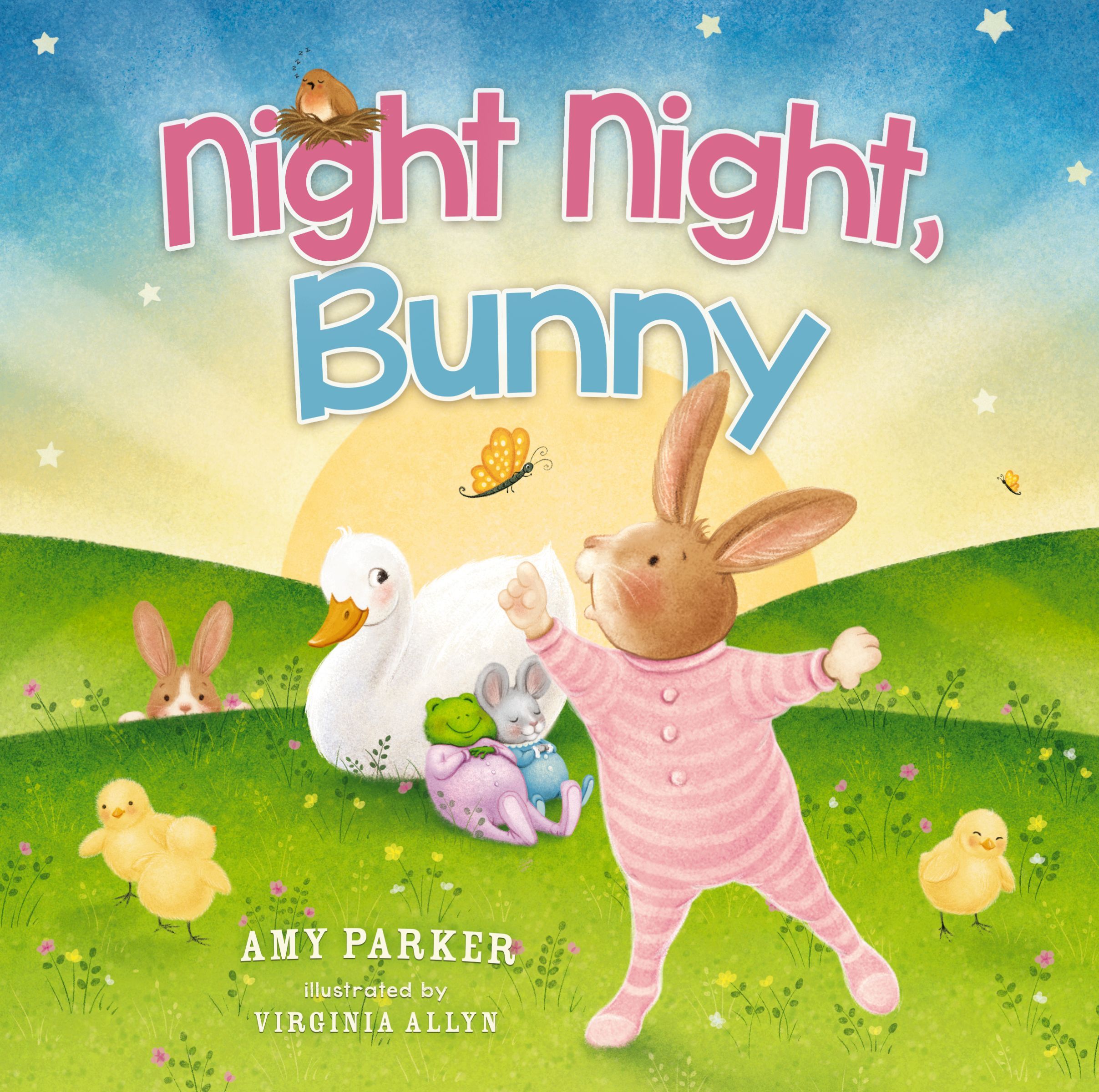 Night Night, Bunny, Board Book, Amy Parker