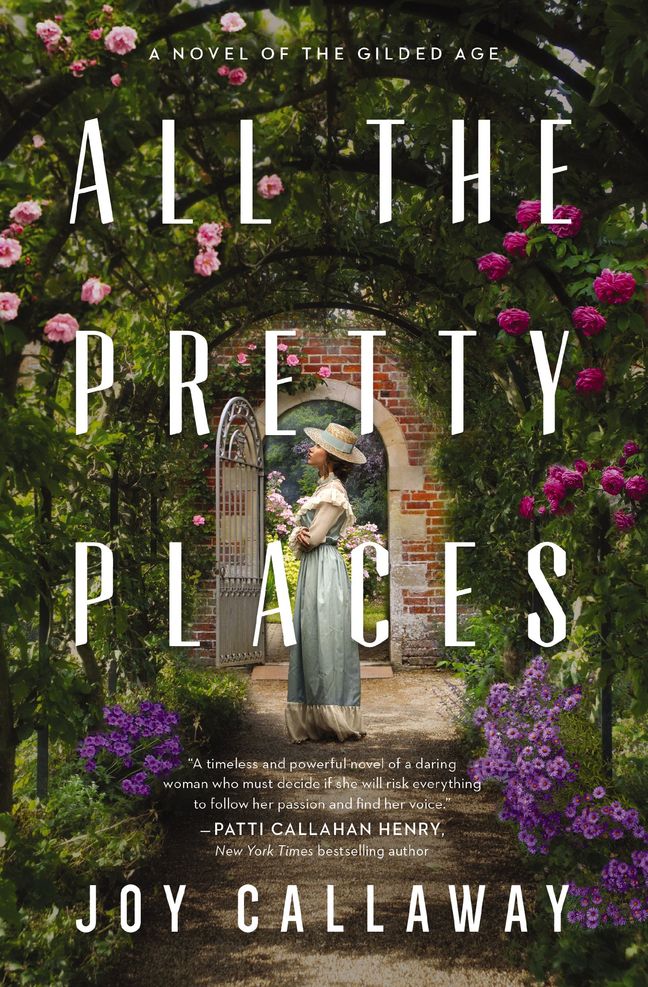 All the Pretty Places Book Cover