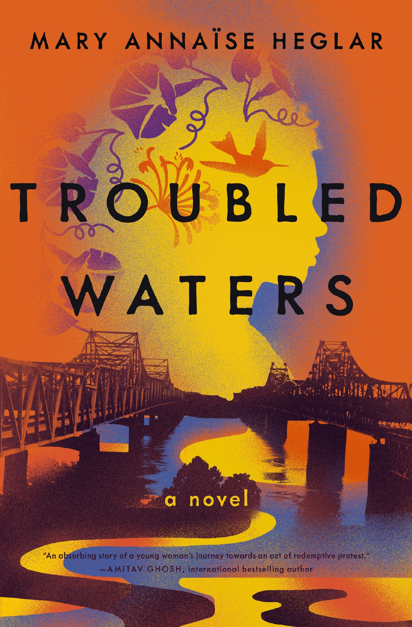 Troubled Waters Book Cover