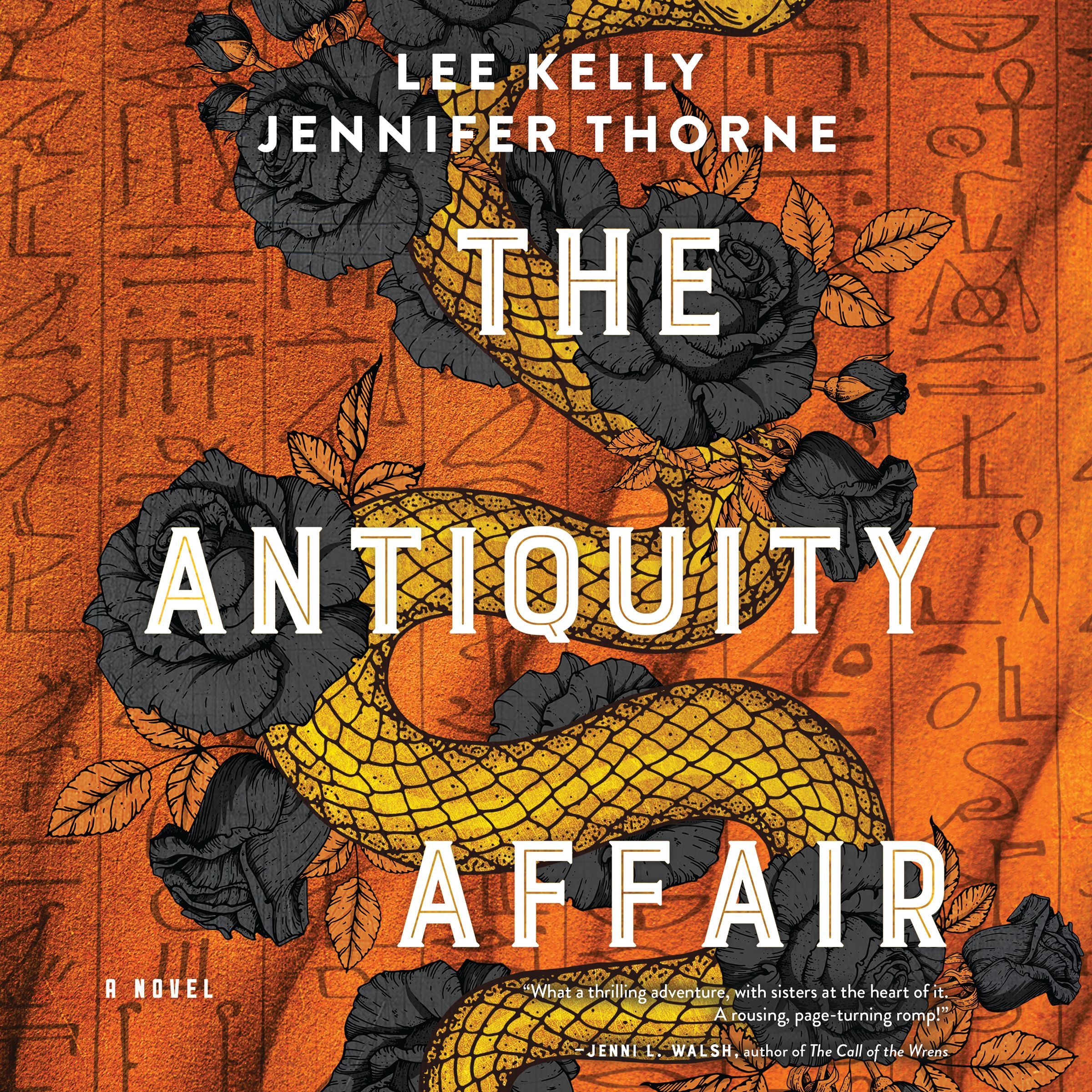 The Antiquity Affair Book Cover