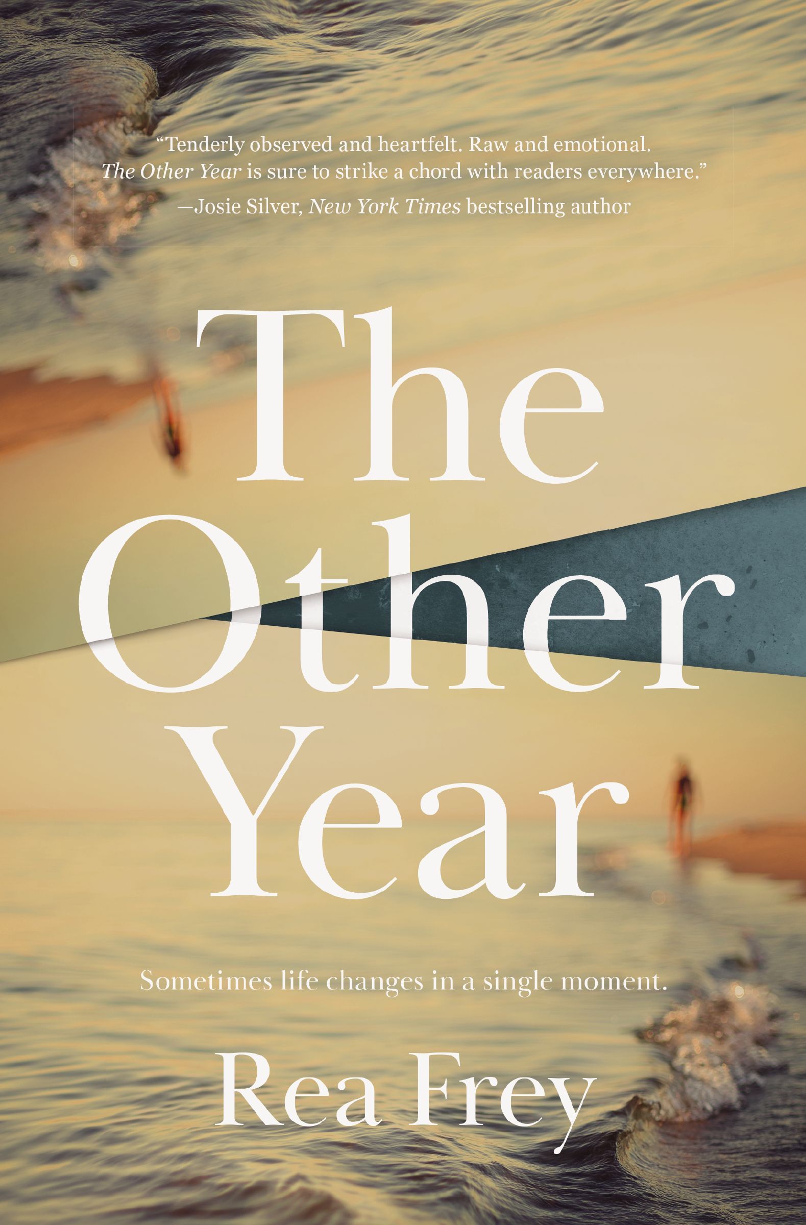 The Other Year Book Cover