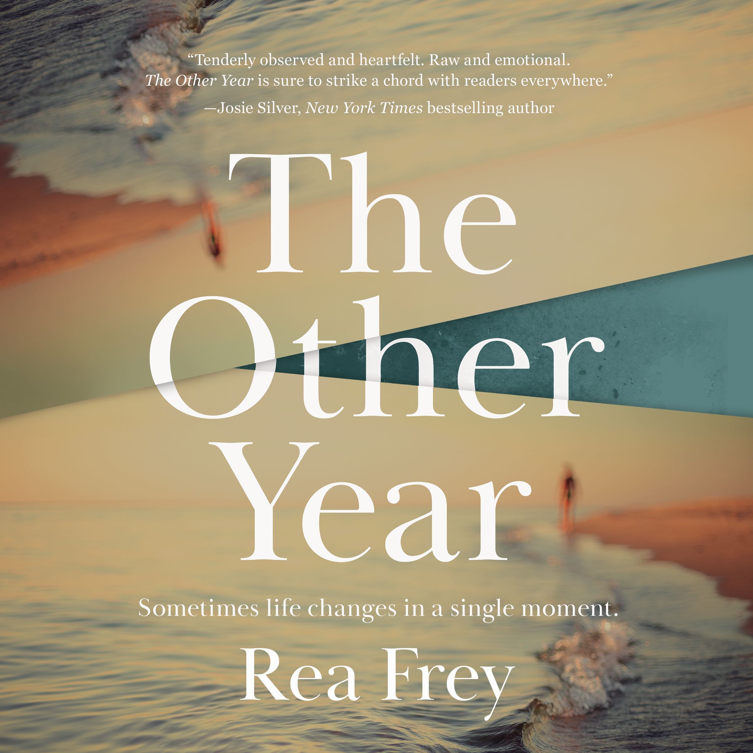 The Other Year Book Cover