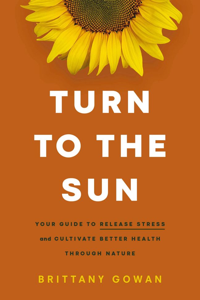 Turn to the Sun Book Cover