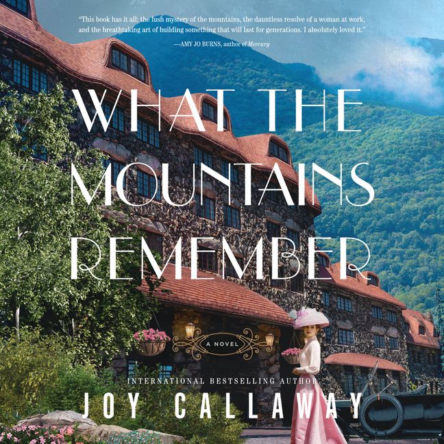 What the Mountains Remember Book Cover