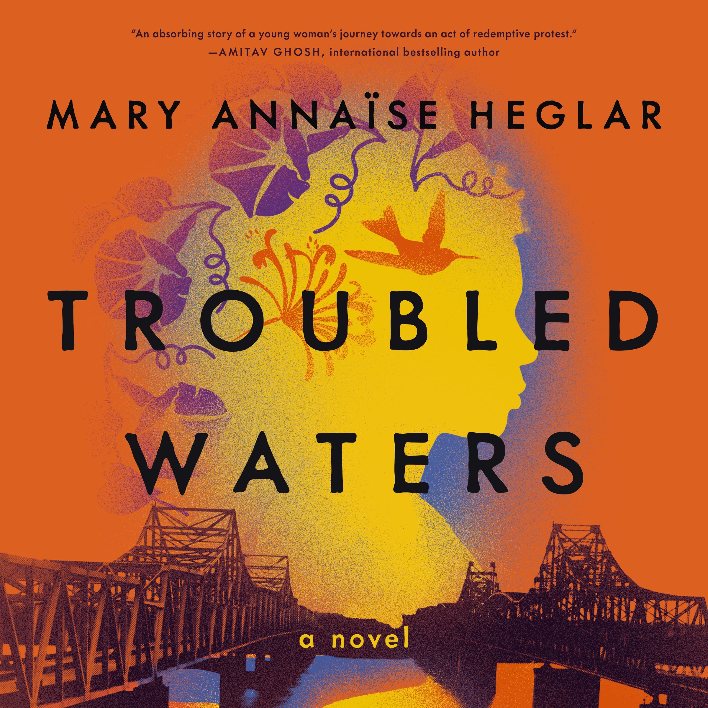 Troubled Waters Book Cover