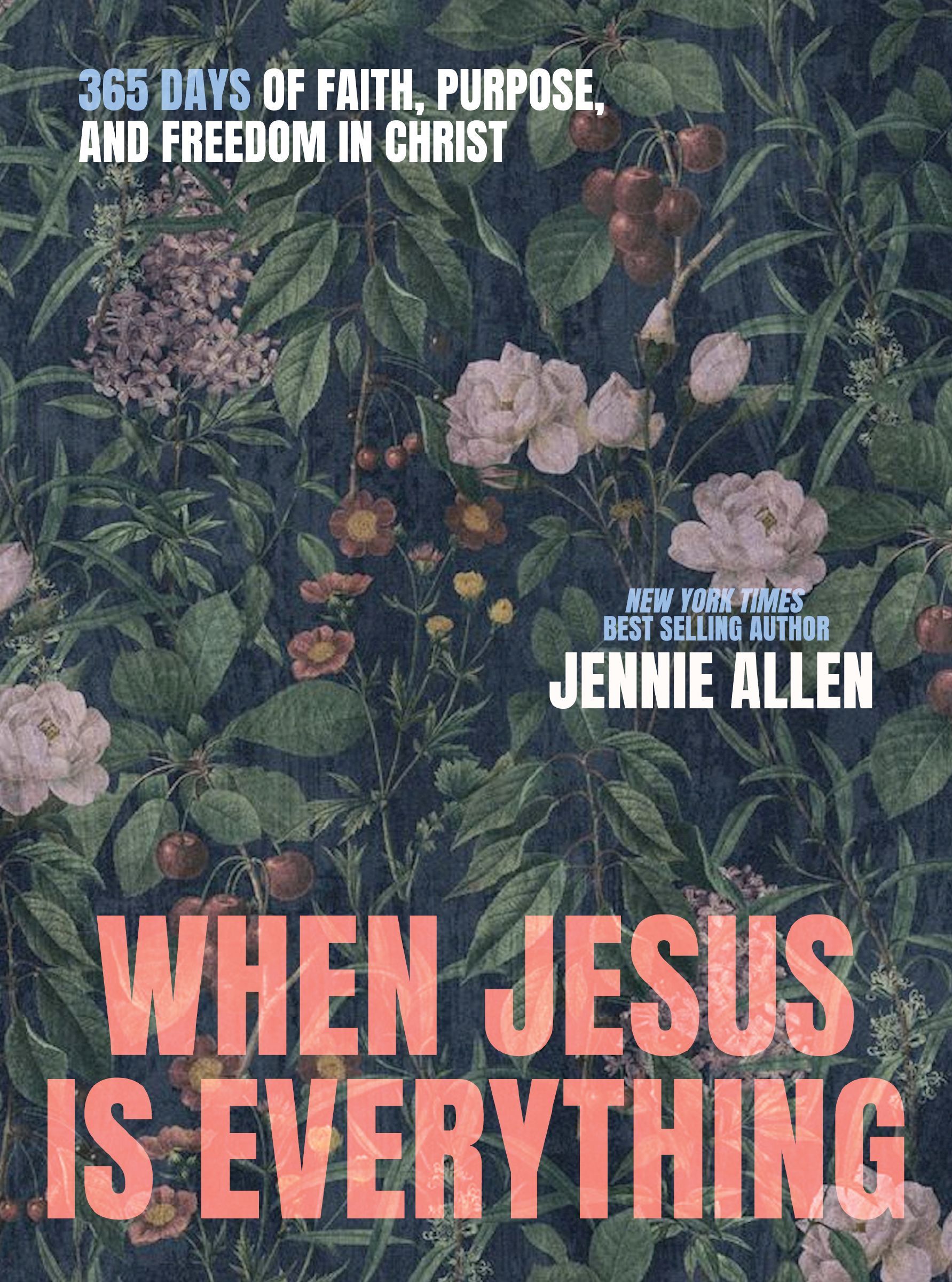 Book Cover of 'When Jesus is Everything'