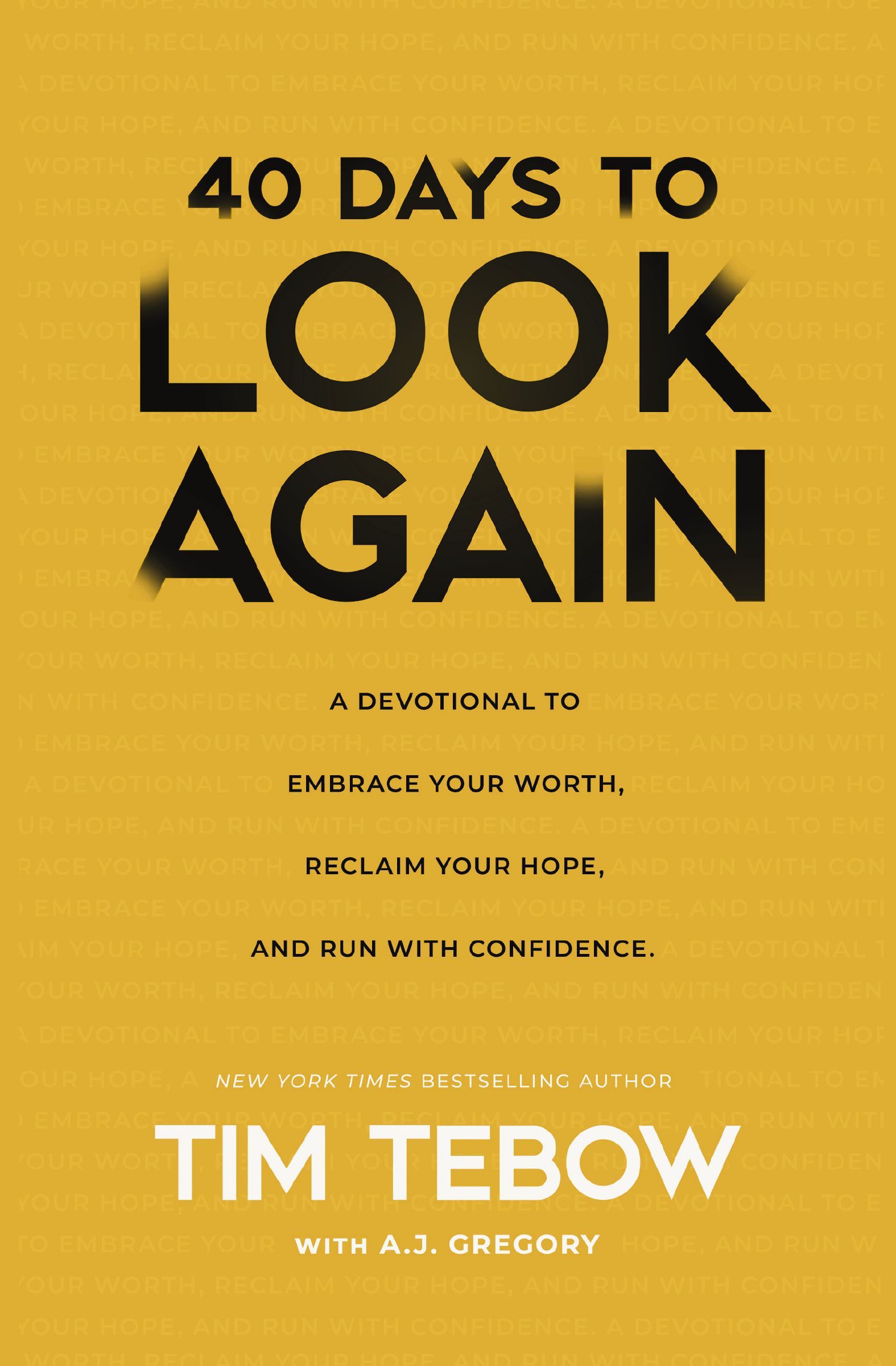 Book Cover of '40 Days to Look Again'