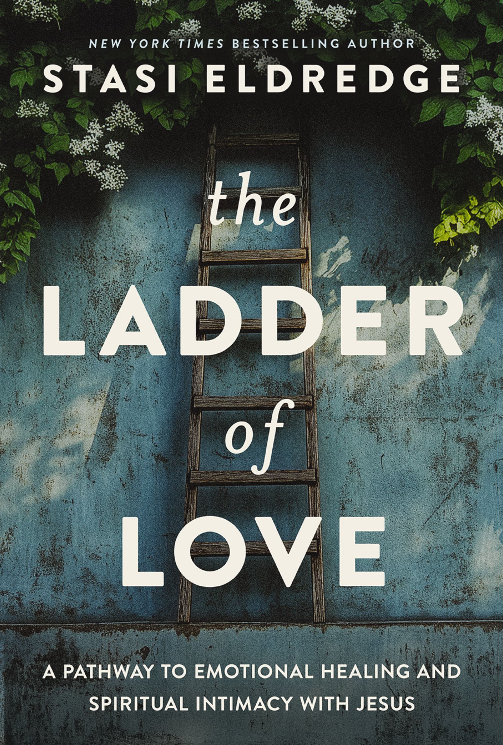 Book Cover of 'The Ladder of Love'