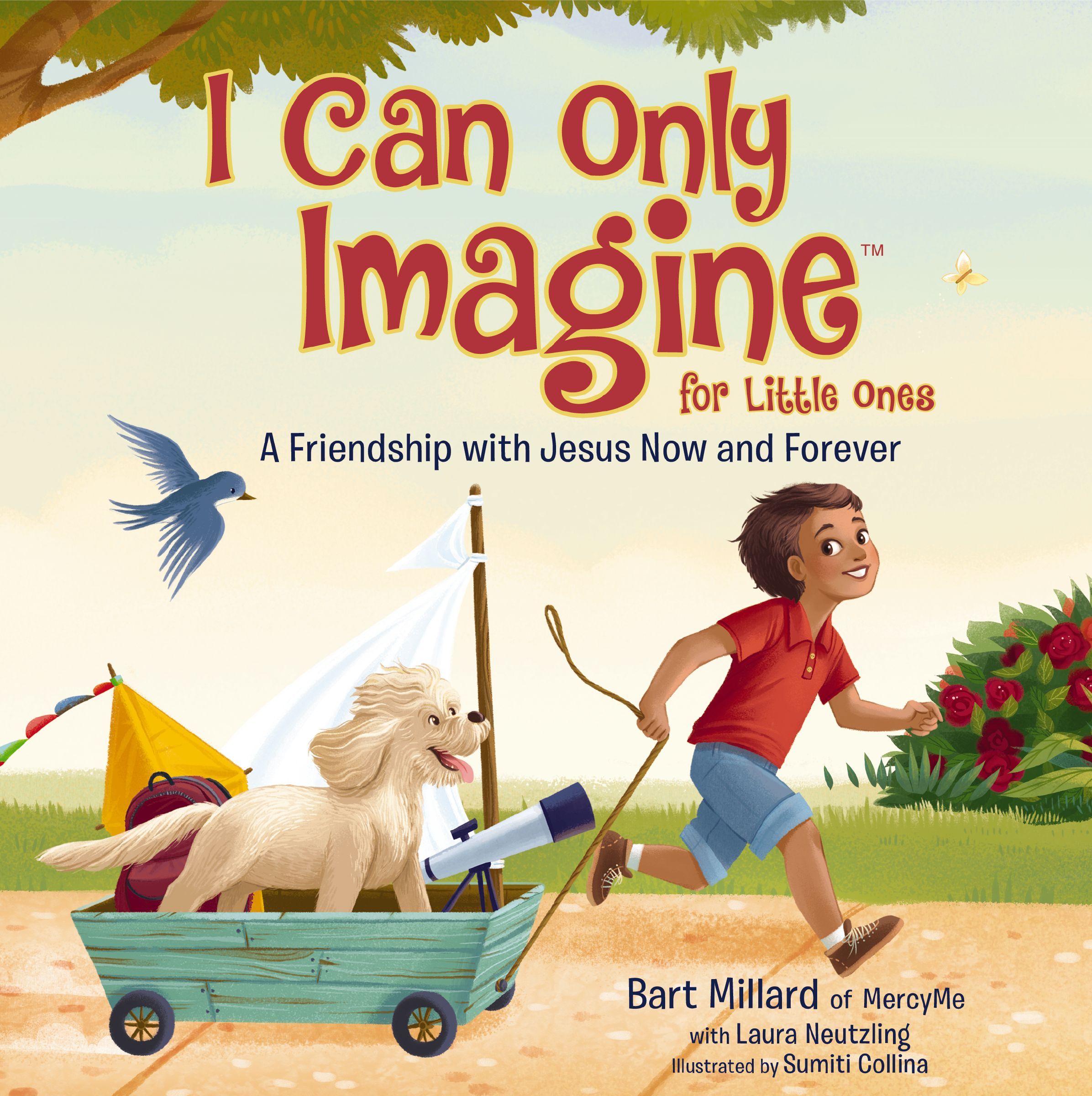 I Can Only Imagine for Little Ones, Board Book, Bart Millard