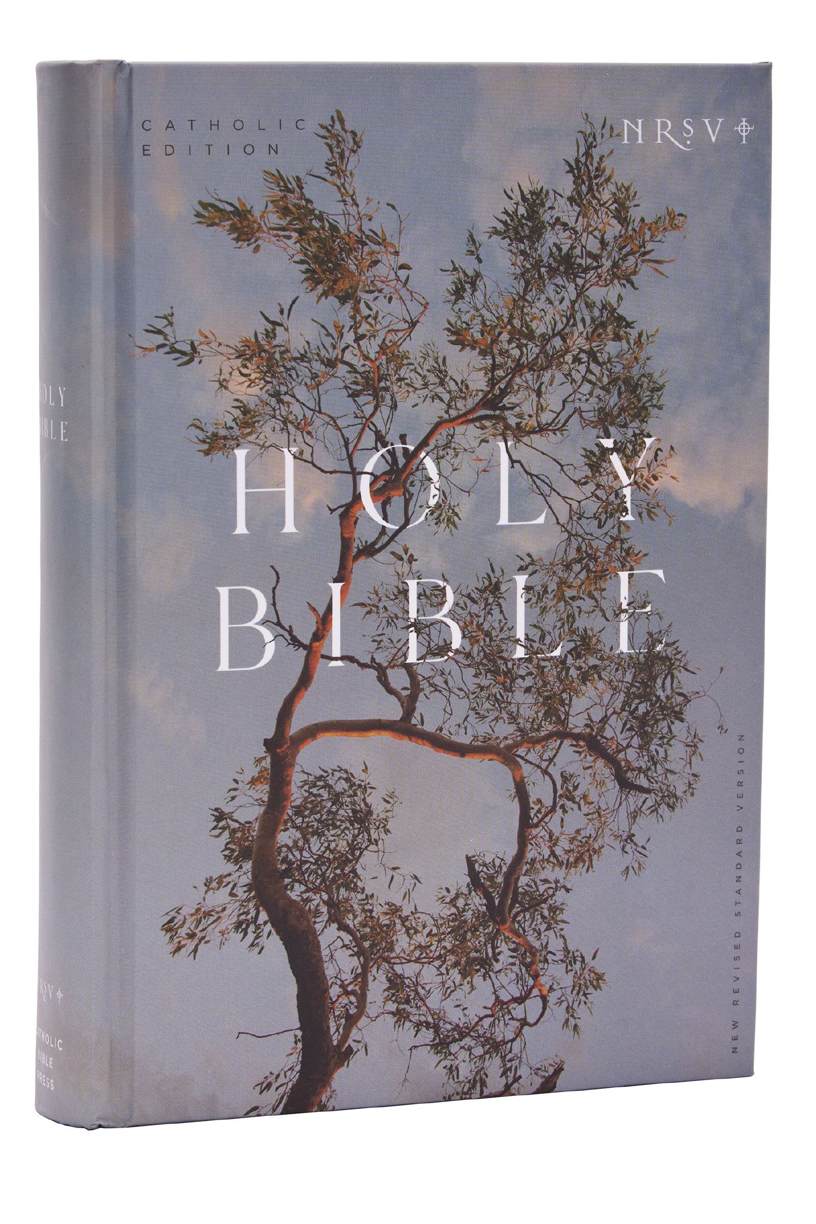 NRSV Catholic Edition Bible, Eucalyptus Hardcover (Global Cover Series): Holy B - Image 7