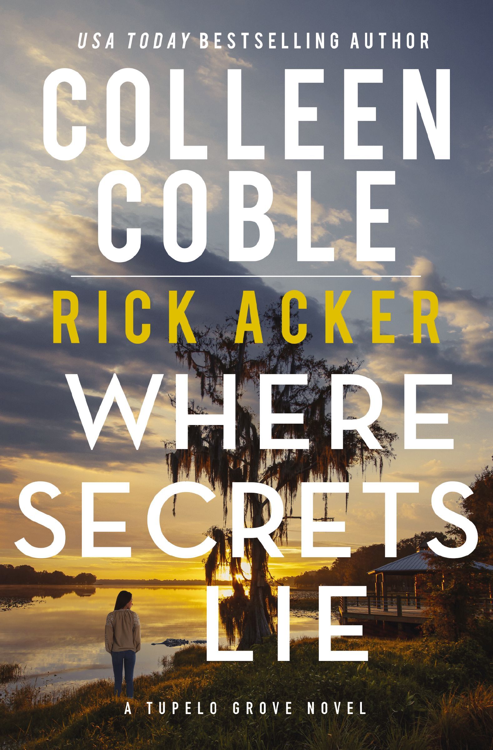 Book Cover of 'Where Secrets Lie'