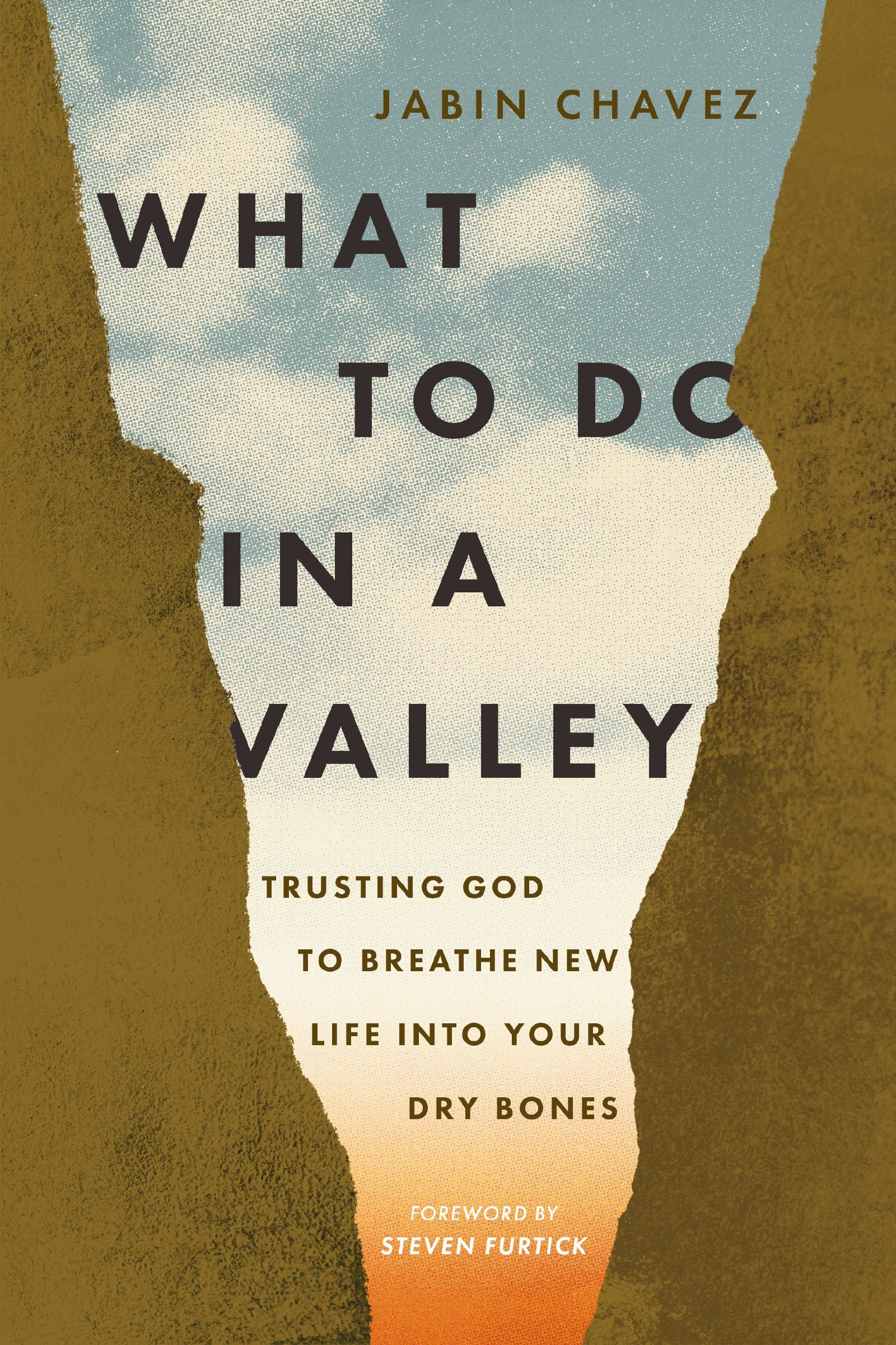 Book Cover of 'What to Do in a Valley'