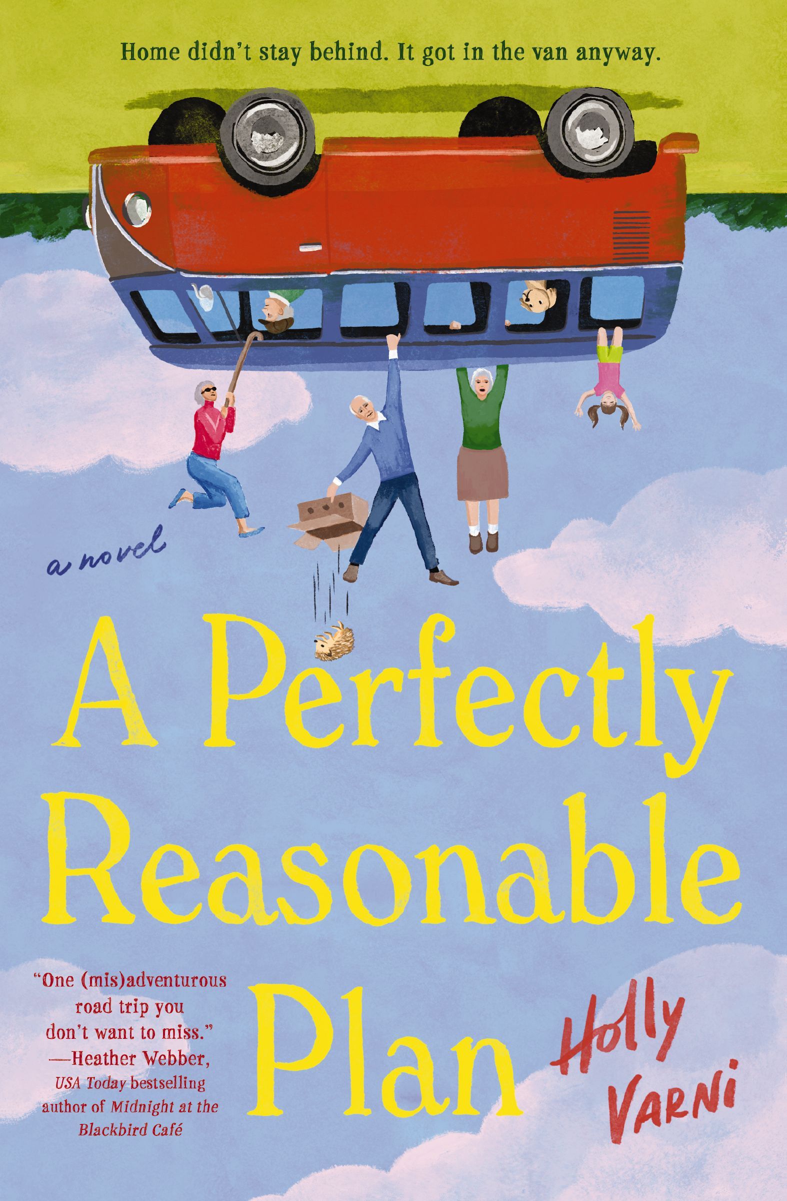 Book Cover of 'A Perfectly Reasonable Plan'