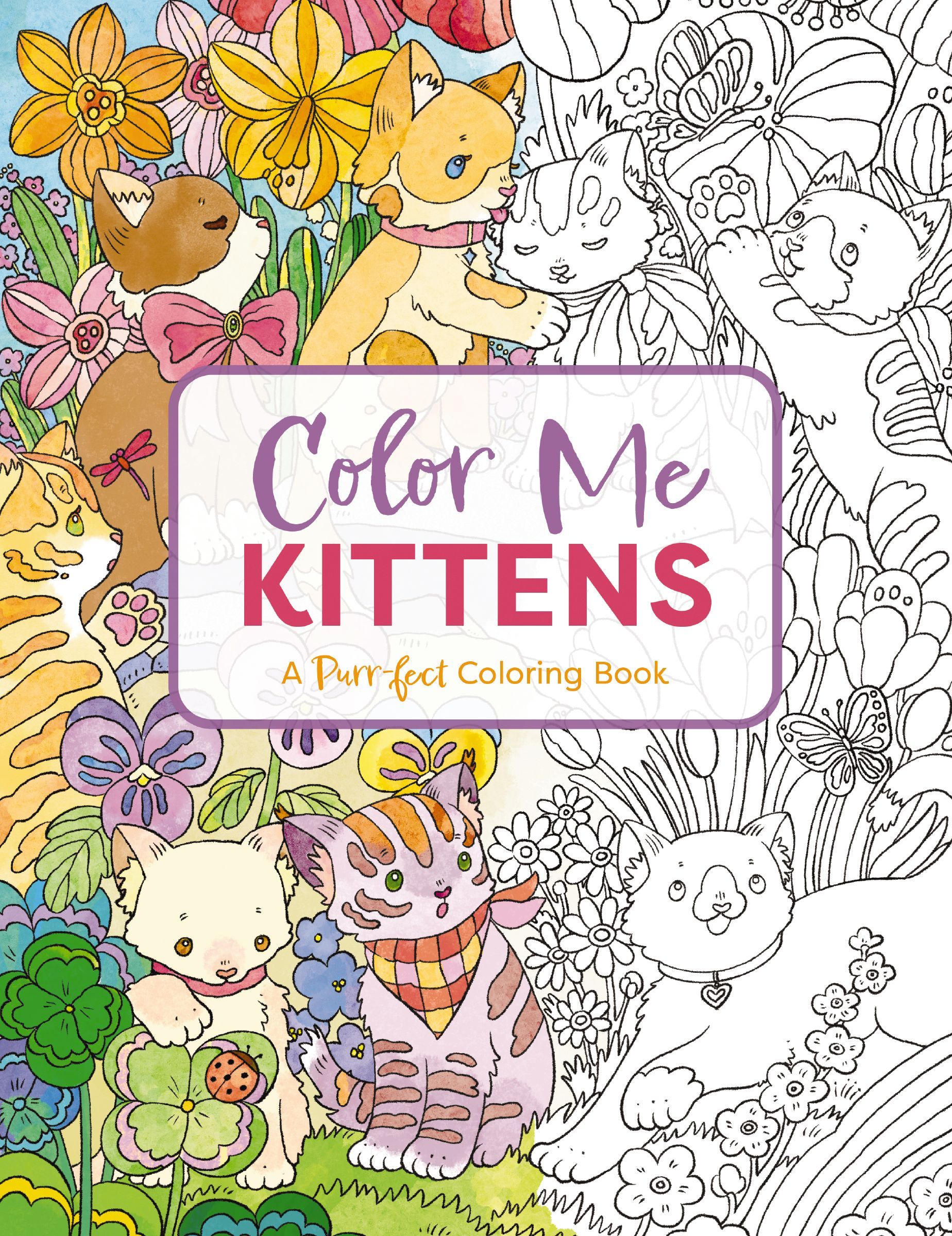 Color Me Kittens, Paperback, Cider Mill Press