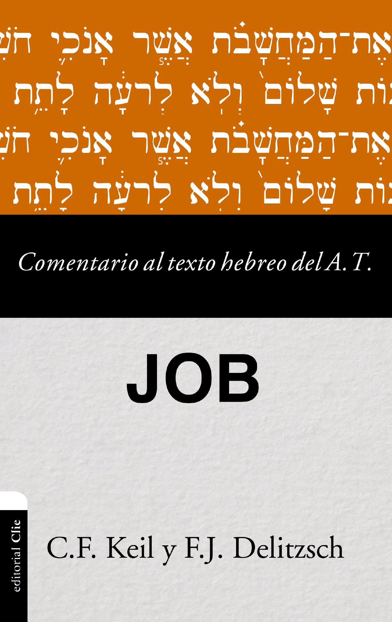 Commentary on the Hebrew Text of the Old Testament - Job