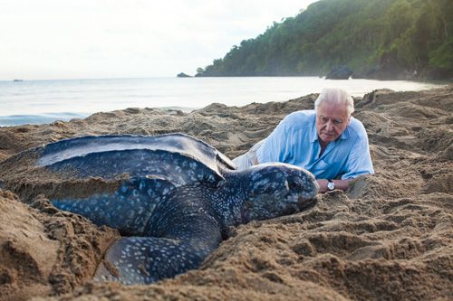 Sir David Attenborough