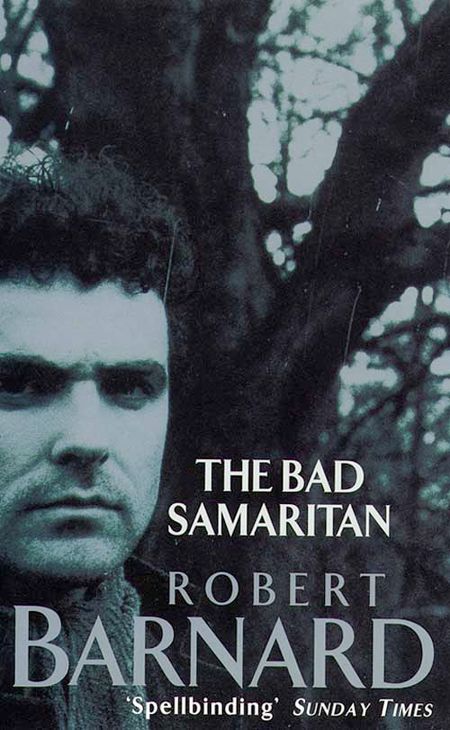 Cover image for The Bad Samaritan - Robert Barnard