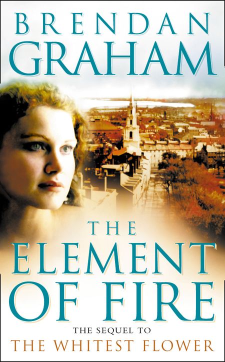 Cover image for The Element of Fire - Brendan Graham