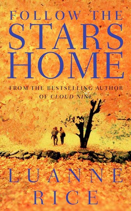 Cover image for Follow the Stars Home - Luanne Rice