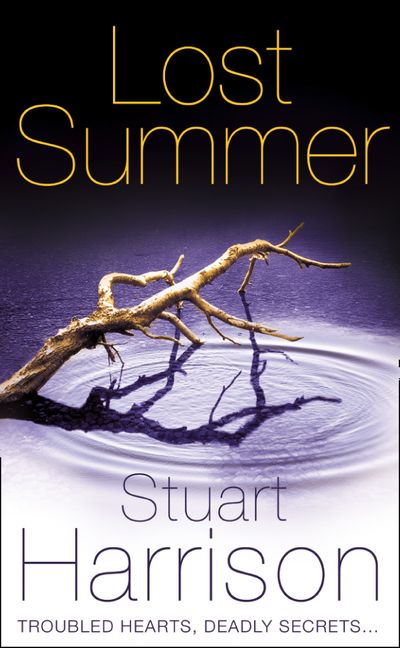 Cover image for Lost Summer - Stuart Harrison