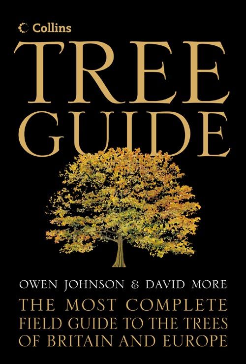 Collins Tree Guide, Literature, Culture & Art, Hardback, David More and Owen Johnson