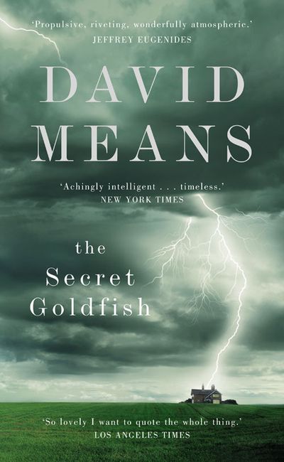 The Secret Goldfish - David Means