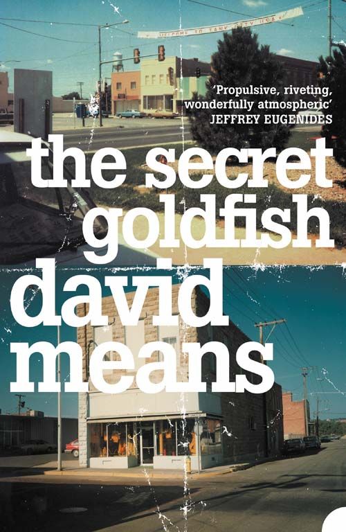 The Secret Goldfish, Sci-Fi & Fantasy, Paperback, David Means