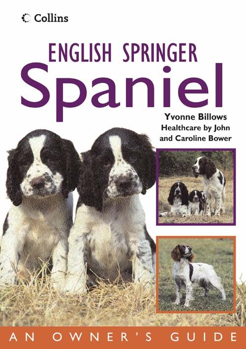 English Springer Spaniel, Sports, Hobbies & Travel, Paperback, Yvonne Billows
