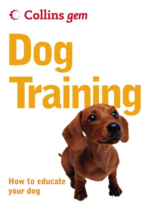 Dog Training, Sports, Hobbies & Travel, Paperback, Gwen Bailey