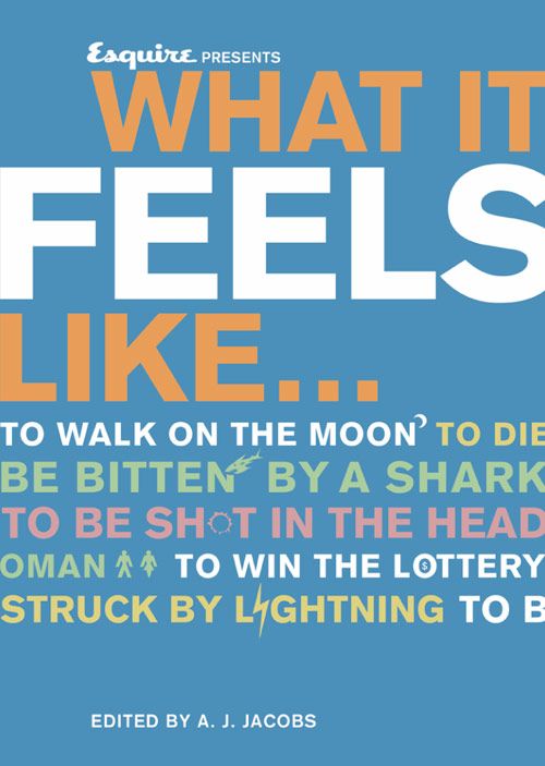 What It Feels Like, Sports, Hobbies & Travel, Paperback, Edited by A. J. Jacobs