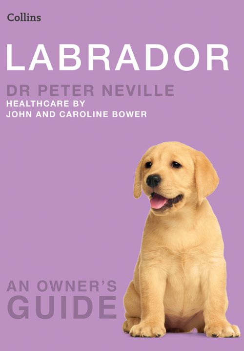 Labrador, Sports, Hobbies & Travel, Paperback, Dr. Peter Neville
