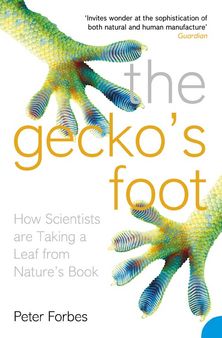 The Gecko’s Foot
