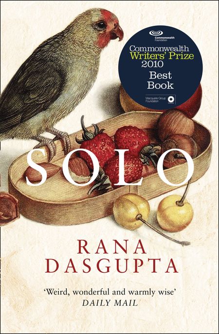 Cover image for Solo - Rana Dasgupta