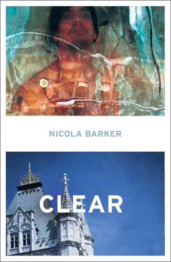 Cover image for  - Nicola Barker