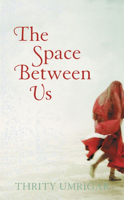 The Space Between Us - Thrity Umrigar