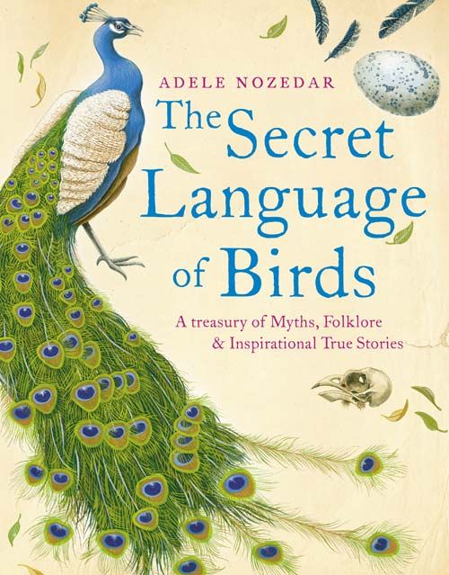 Secret Language of Birds, Literature, Culture & Art, Hardback, Adele Nozedar