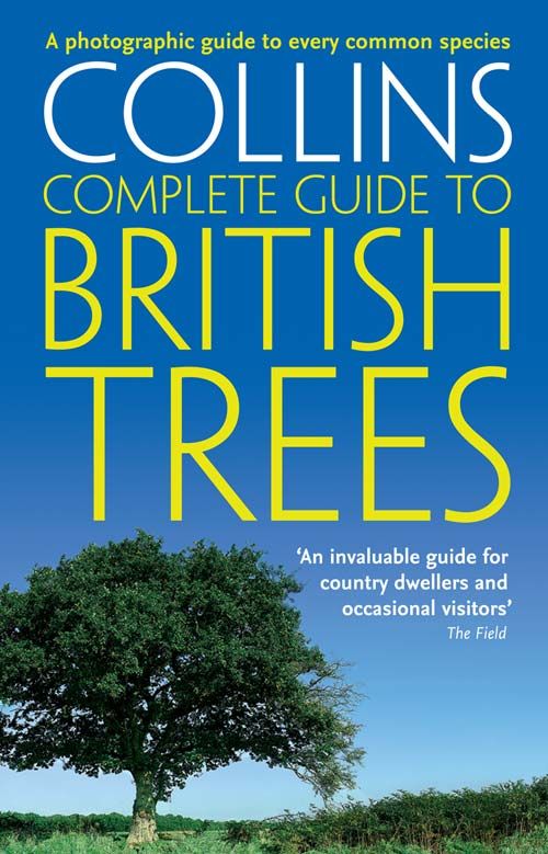 British Trees, Sports, Hobbies & Travel, Paperback, Paul Sterry