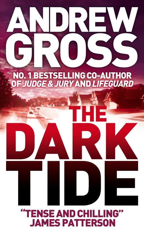 The Dark Tide, Crime & Thriller, Paperback, Andrew Gross
